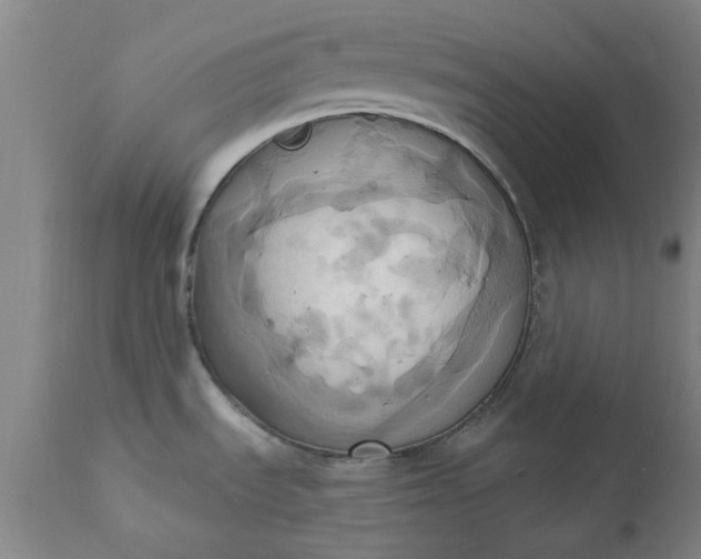 X0000110681535200906261309