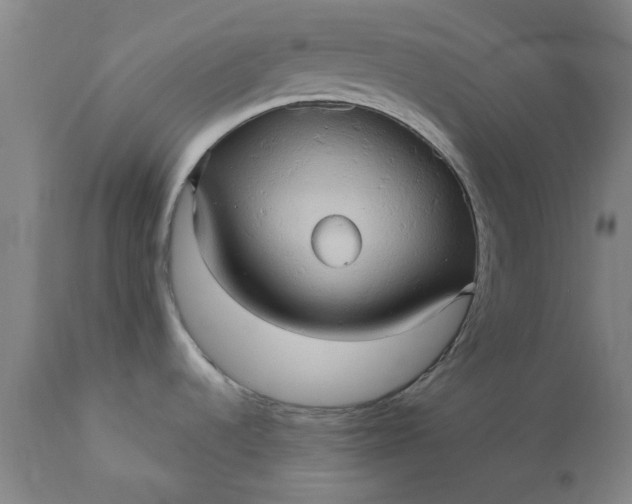 X0000110681536200906261309