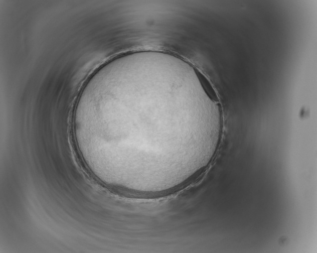X0000110680001200907021921