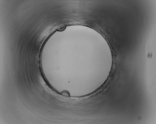 X0000110680002200907021921
