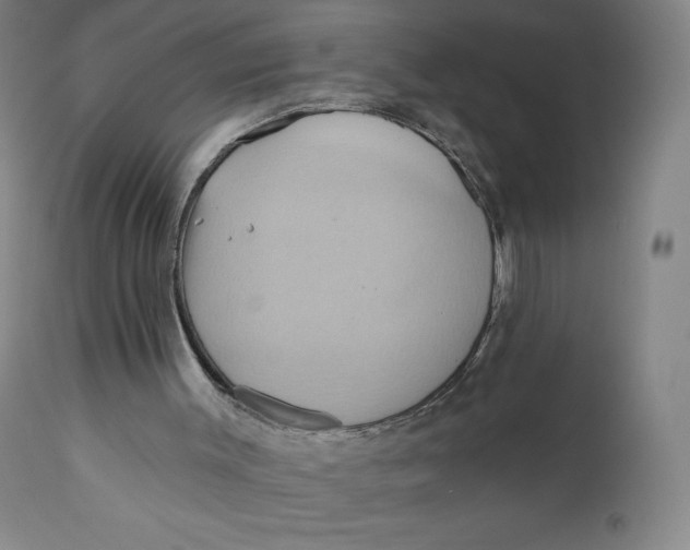 X0000110680003200907021921