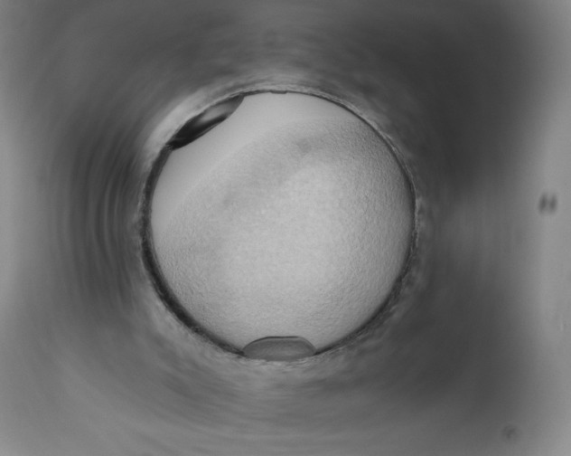 X0000110680007200907021921