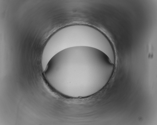 X0000110680009200907021921