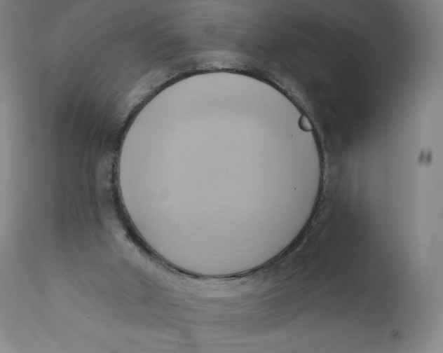 X0000110680010200907021921