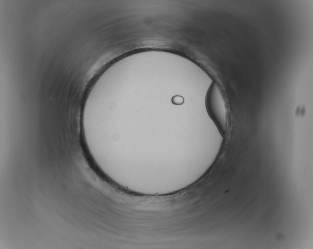 X0000110680011200907021921