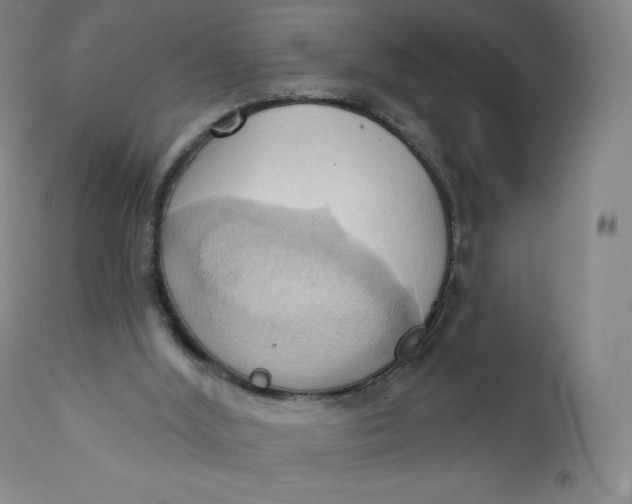 X0000110680012200907021921