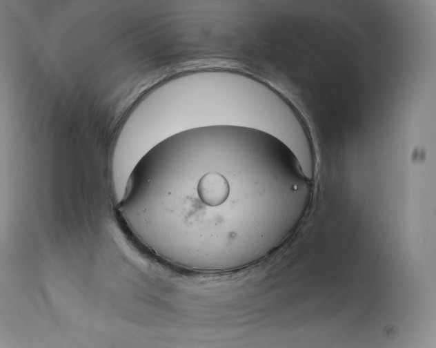 X0000110680013200907021921