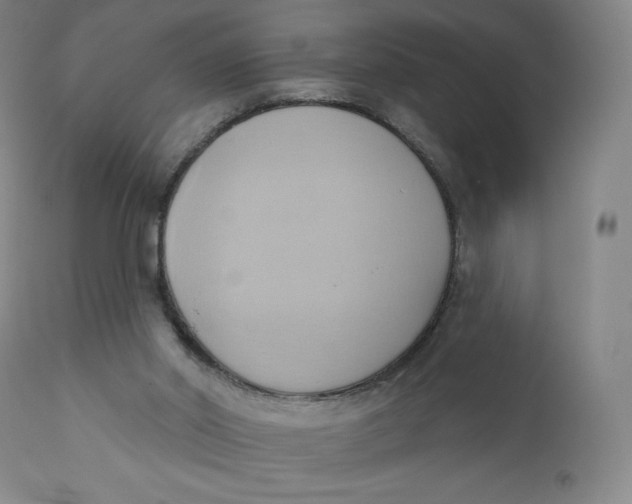 X0000110680014200907021921