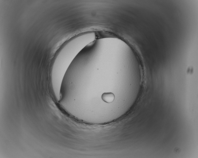 X0000110680015200907021921
