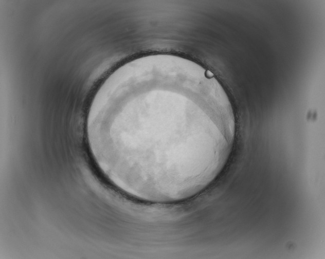 X0000110680016200907021921