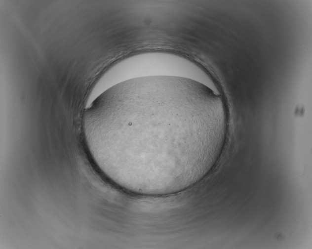 X0000110680017200907021921