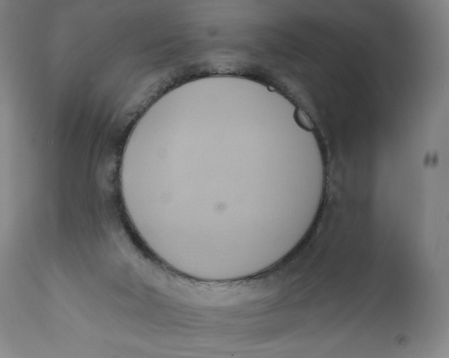 X0000110680018200907021921