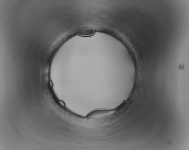 X0000110680019200907021921