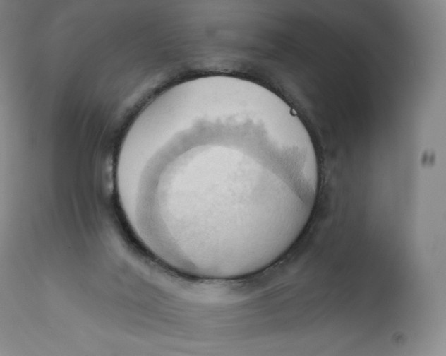 X0000110680020200907021921