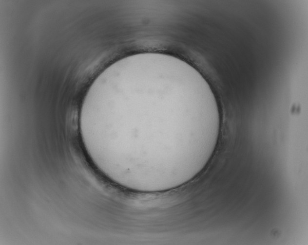 X0000110680021200907021921