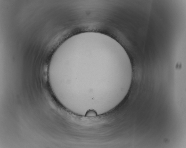 X0000110680022200907021921