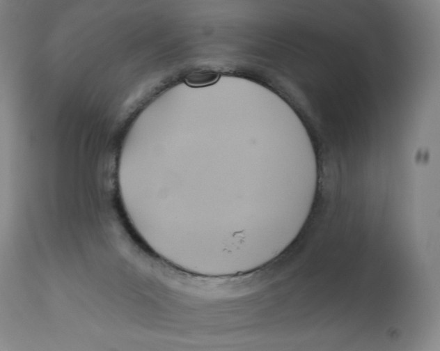 X0000110680023200907021921