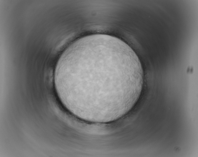 X0000110680024200907021921