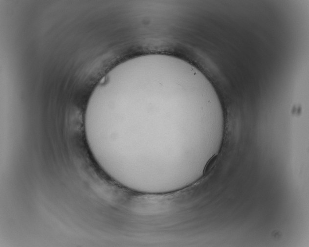 X0000110680025200907021921