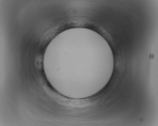 X0000110680026200907021921