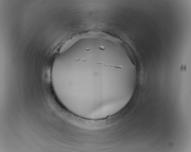 X0000110680027200907021921