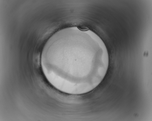 X0000110680028200907021921