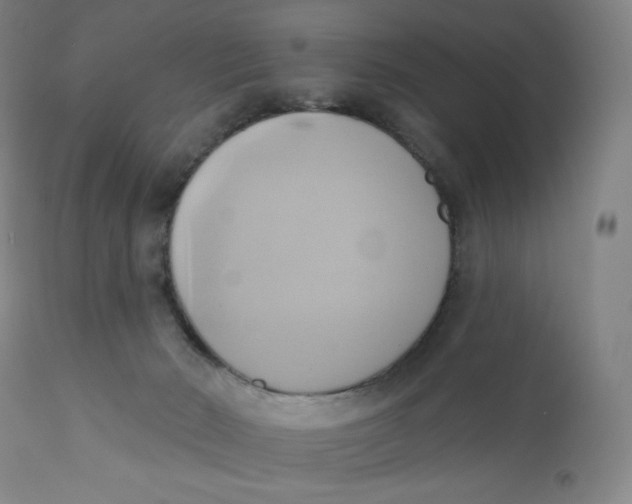 X0000110680030200907021921