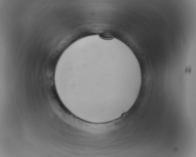 X0000110680031200907021921