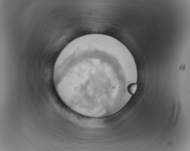 X0000110680032200907021921