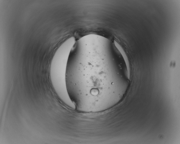 X0000110680033200907021921