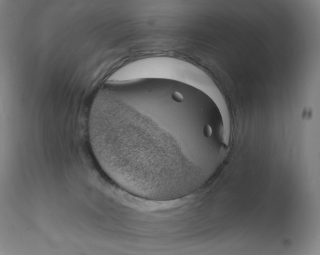X0000110680035200907021921
