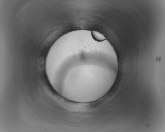 X0000110680036200907021921