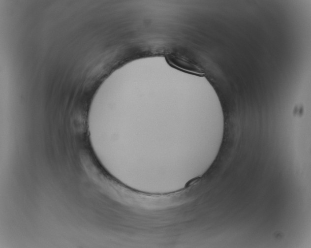 X0000110680039200907021921