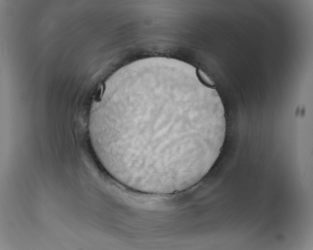 X0000110680040200907021921