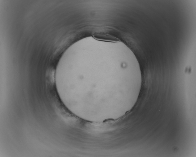 X0000110680041200907021921