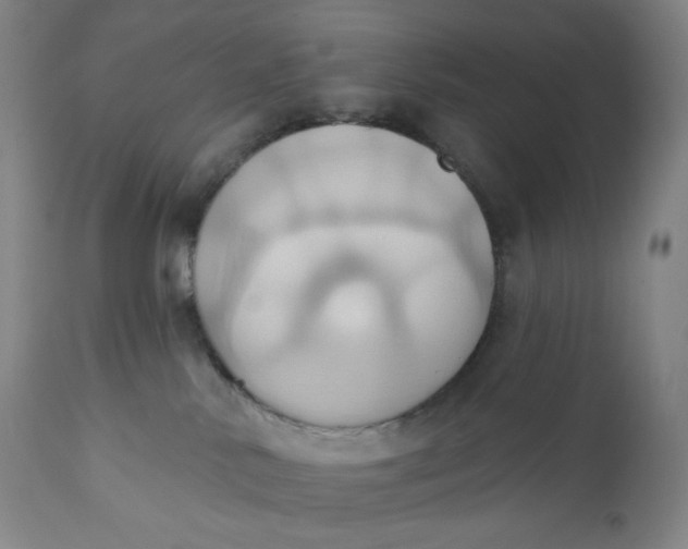 X0000110680042200907021921