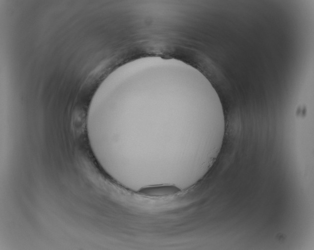 X0000110680043200907021921