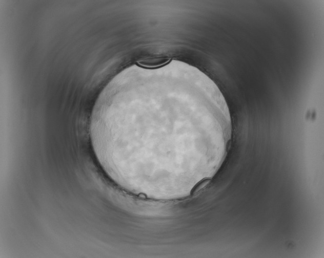 X0000110680044200907021921