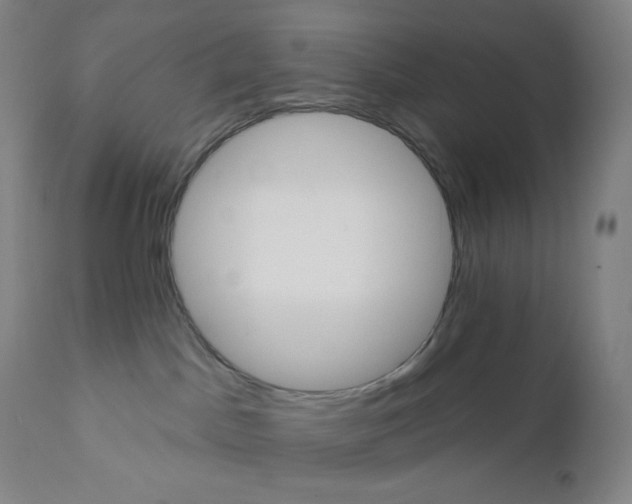 X0000110680045200907021921