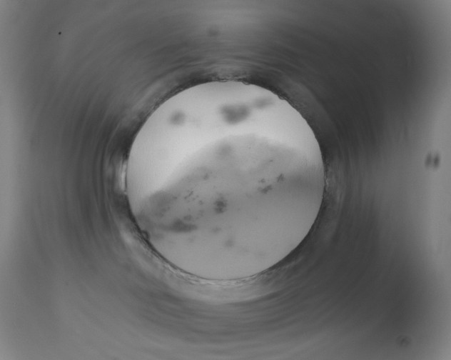 X0000110680046200907021921