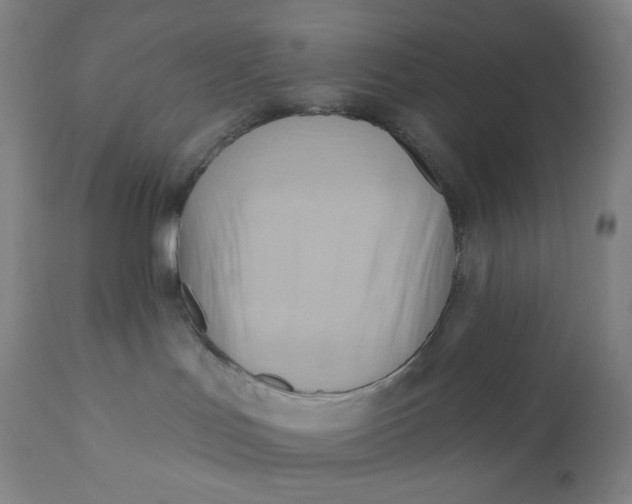 X0000110680047200907021921