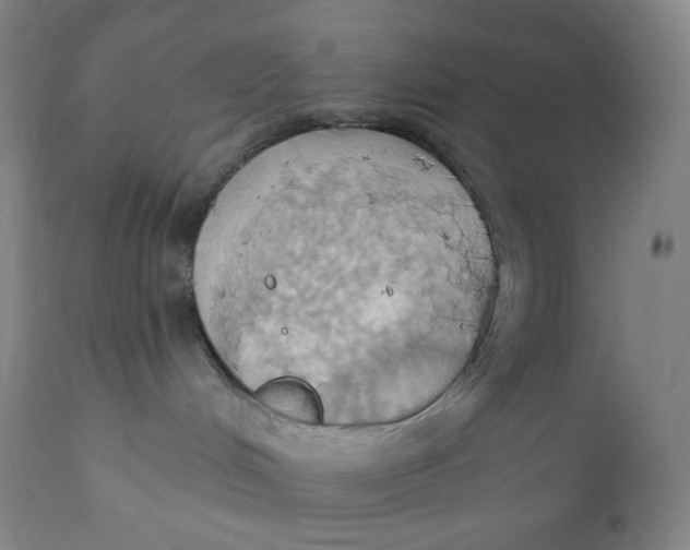 X0000110680048200907021921