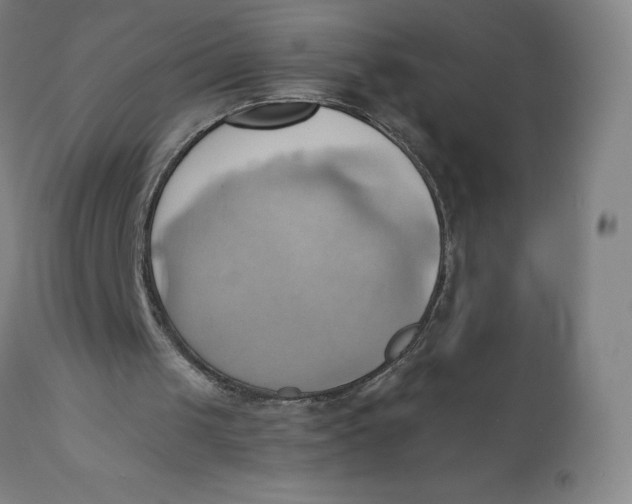 X0000110680049200907021920
