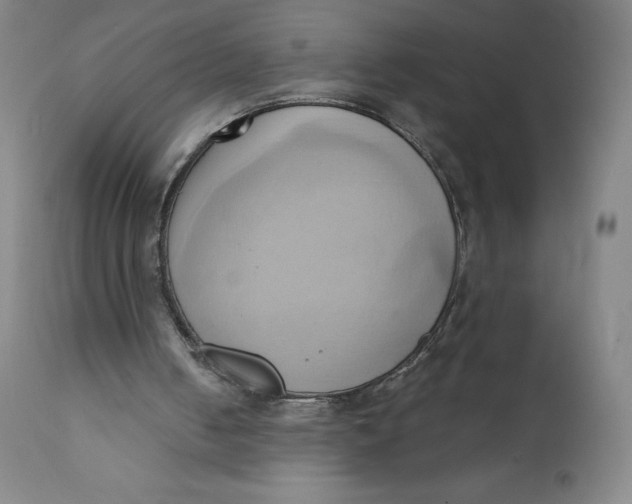 X0000110680050200907021920