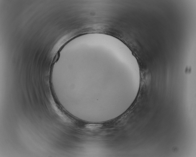 X0000110680051200907021920