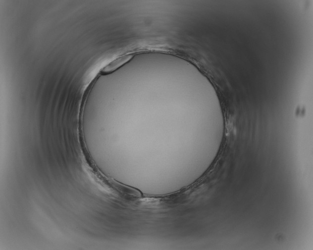 X0000110680052200907021920
