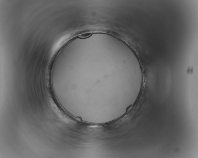 X0000110680053200907021920