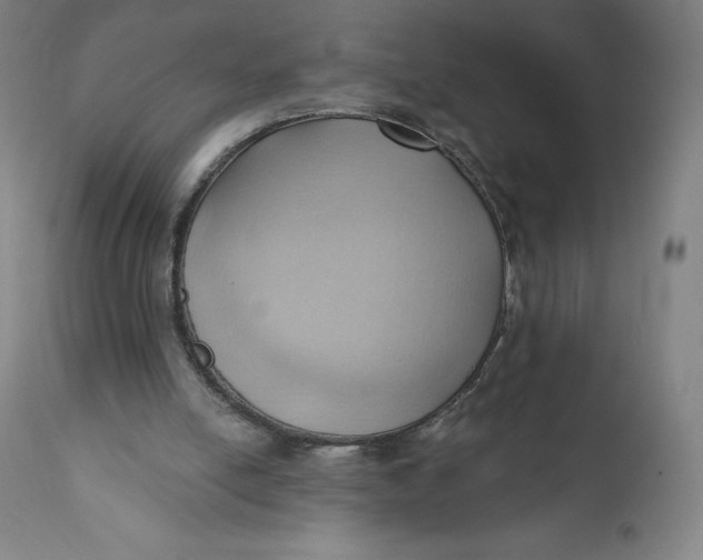 X0000110680054200907021920