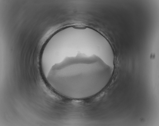 X0000110680055200907021920