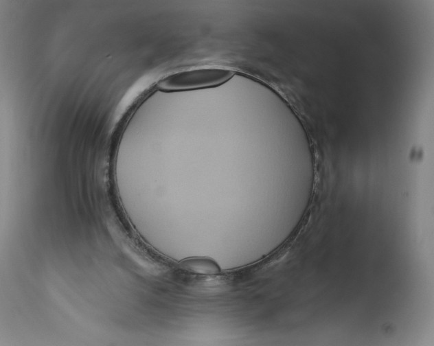 X0000110680056200907021920